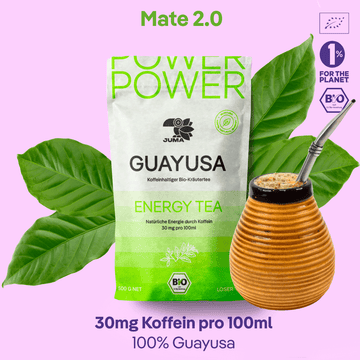 Warum Guayusa die neue Mate 2.0 ist