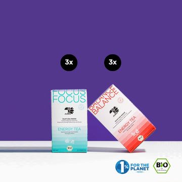 FOCUS & BALANCE PROBIERSET (6x 20 Teebeutel)
