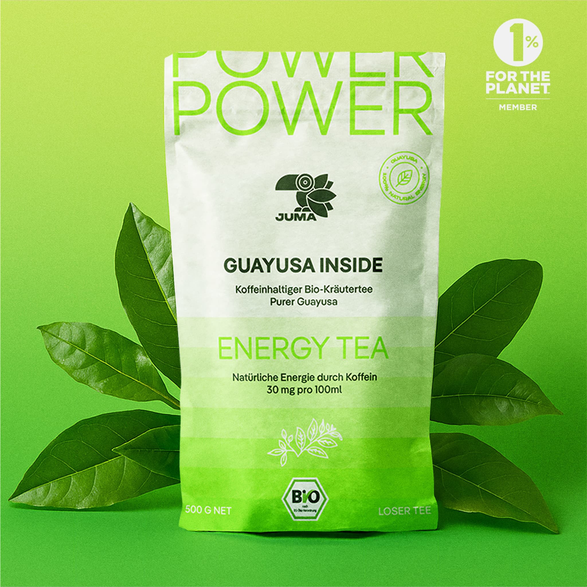 INFUSE+ (500g loser Guayusa Tee)